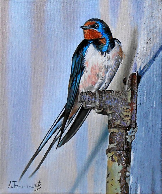 Swallow