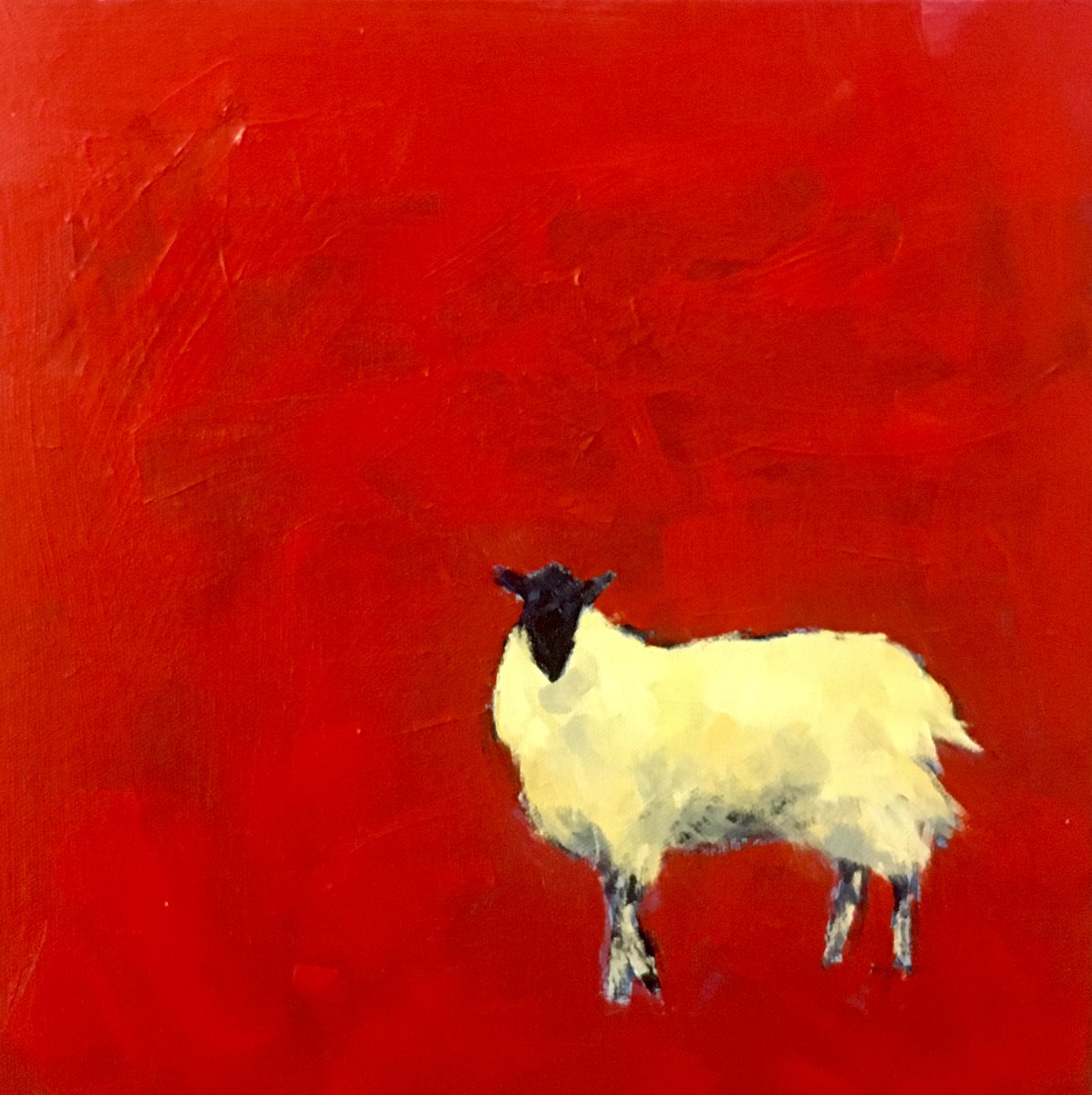 Red sheep by Stuart Roper