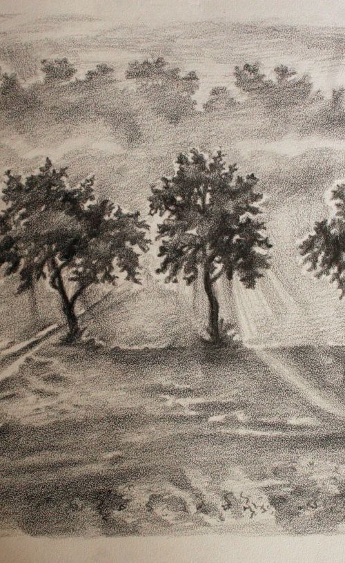 Trees . Drawing. by Ilshat Nayilovich