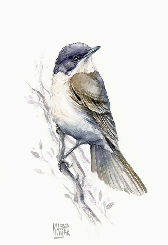 Lesser whitethroat framed painting