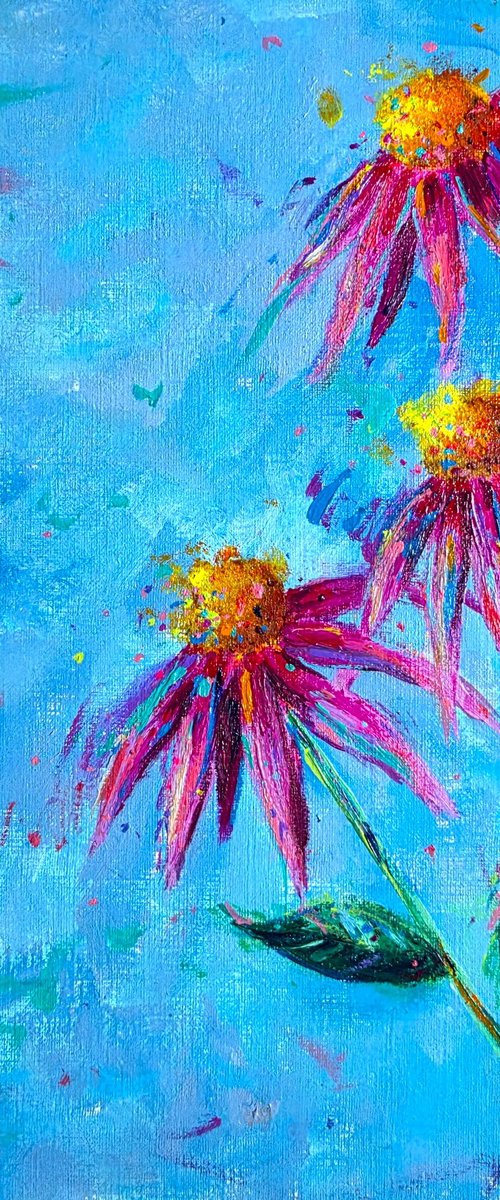 Echinacea by Dawn Underwood