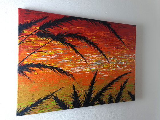 Red Sunset In The Grass