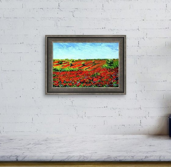 Miniature Poppy meadow landscape