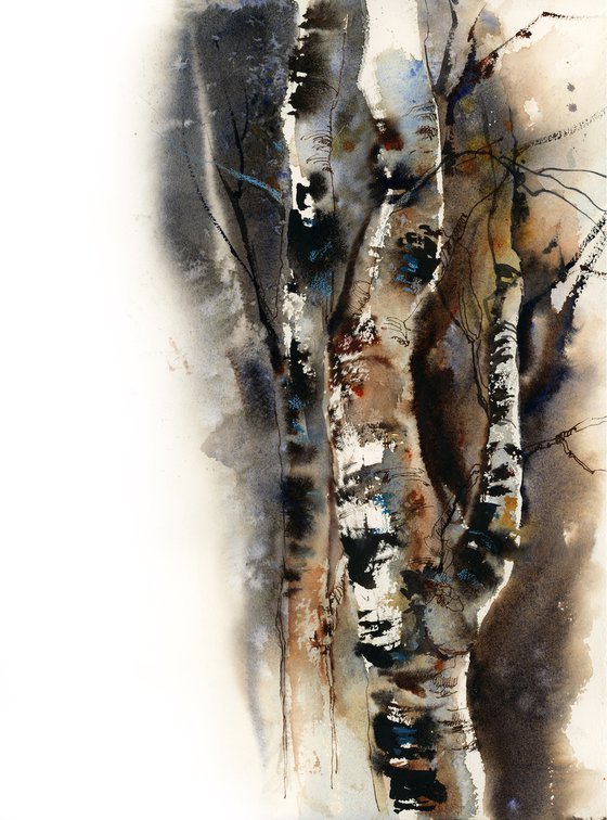 Birch Trees