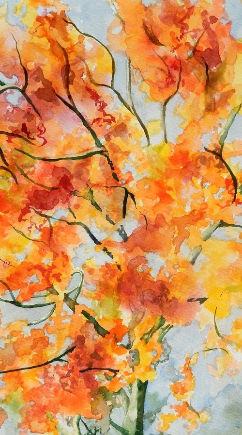 Autumn tree by Richard Freer