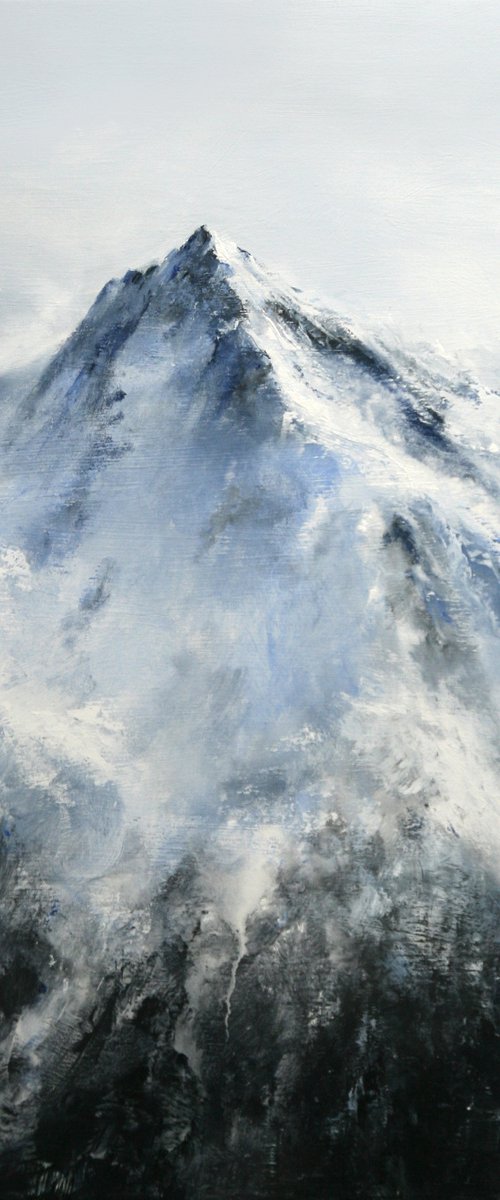 Alpine Mountain by Behshad Arjomandi