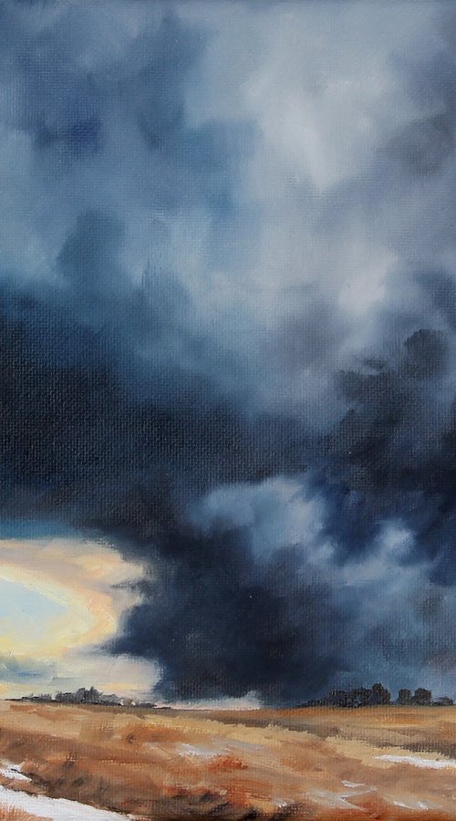 Last of the Winters Snow by Katrina Case