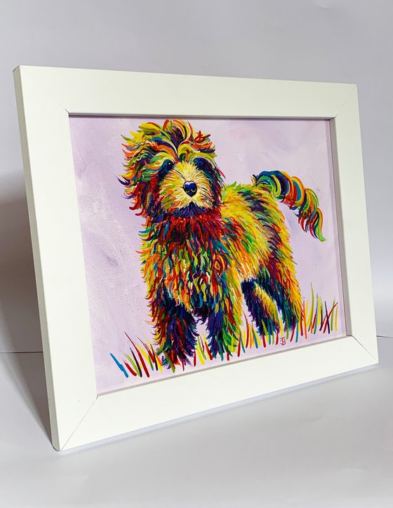 Rainbow Cockapoo