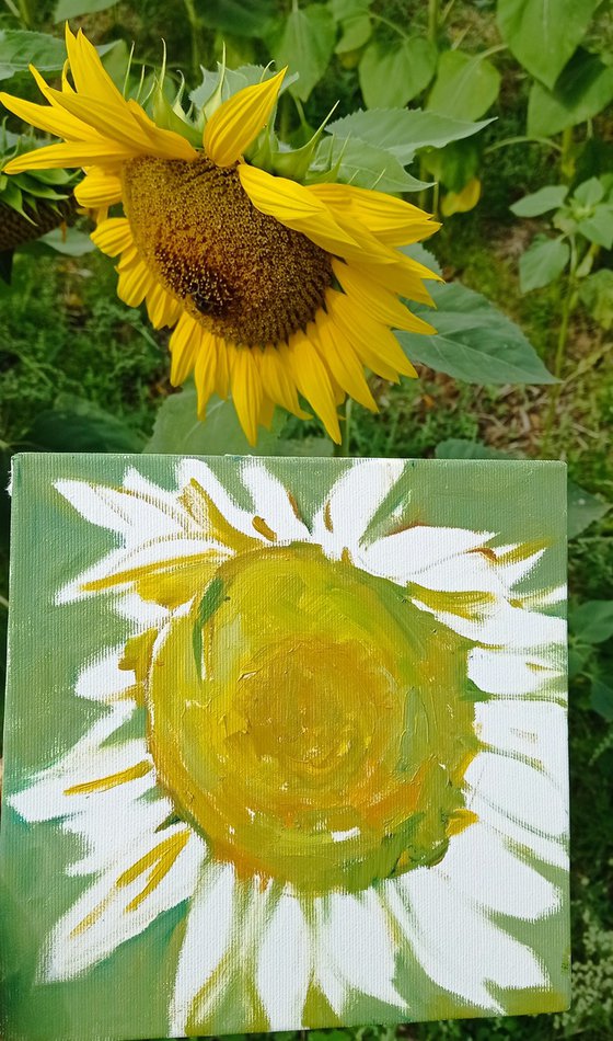 Sunflower. Flower sketch