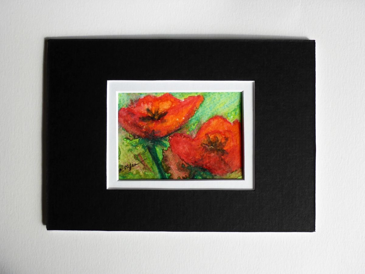 Poppies (ACEO with Mat) by Cristina Stefan