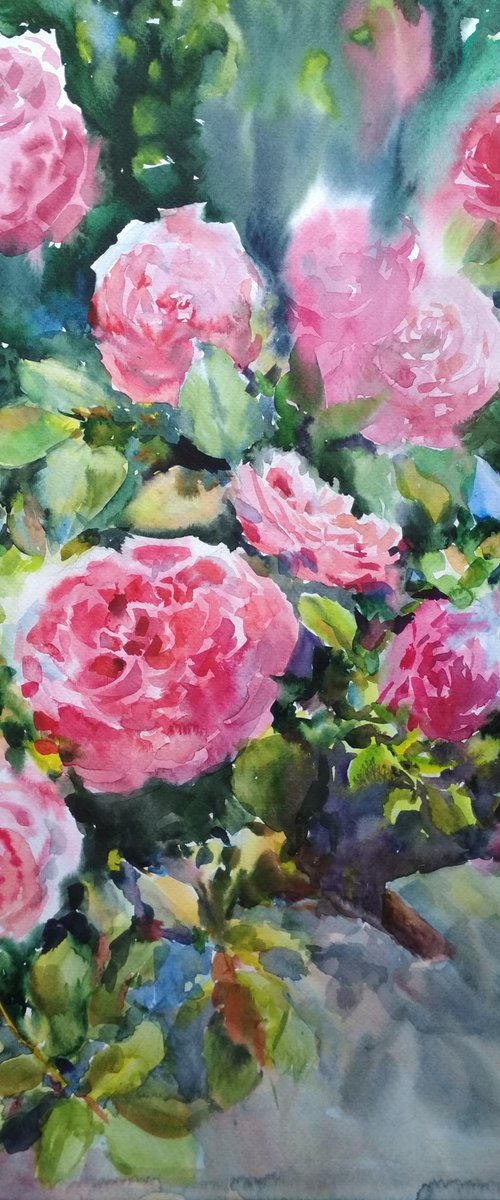 The scent of roses by Ann Krasikova