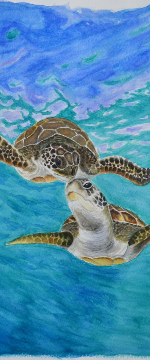 Turtle's true love by Neha Soni