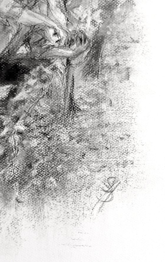Vendanges 5