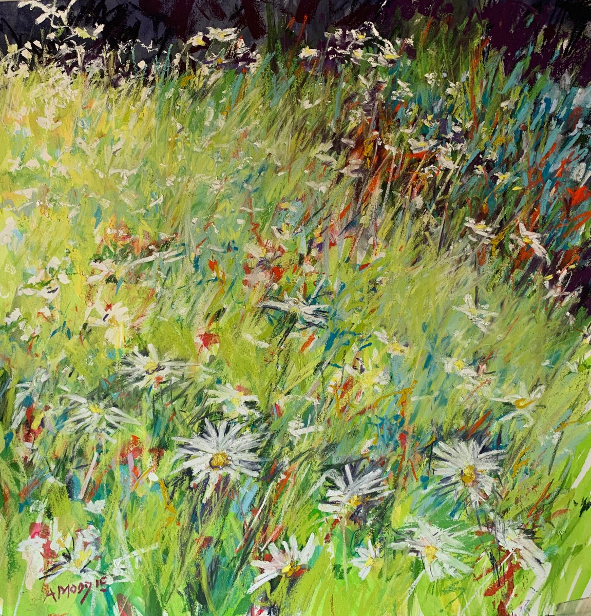 Daisy Meadow by Andrew Moodie