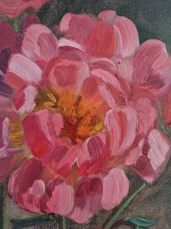 Still-life with peonies "Harmony of pink"