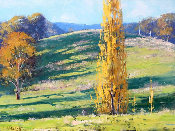 Autumn Trees Landscape