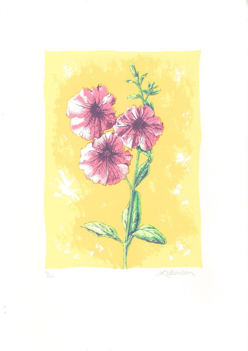Botanical Screenprint By Louise Boulton, 11 X 17", Petunias, Original Artwork