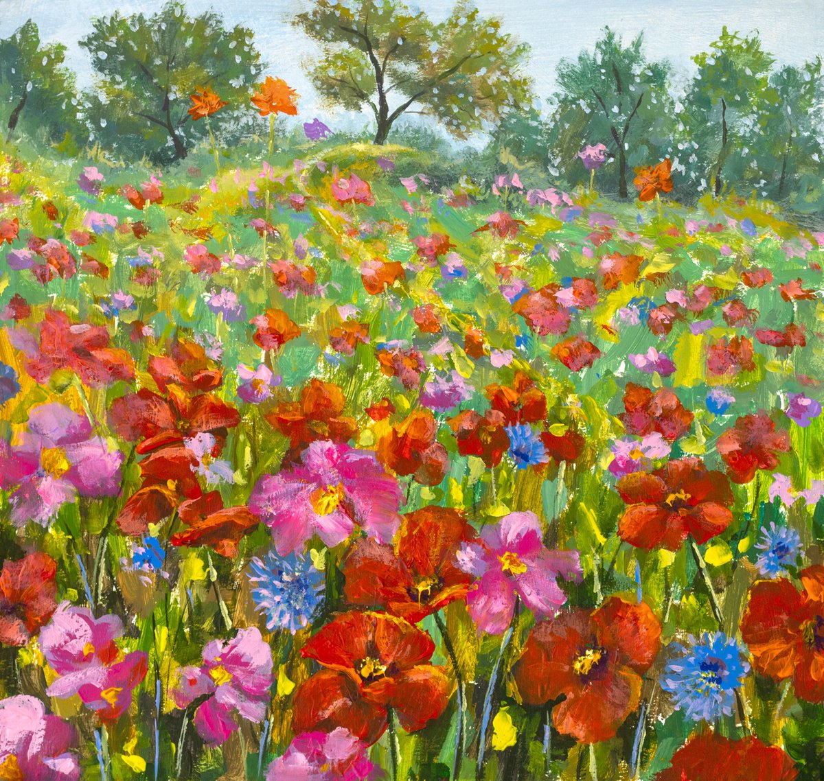 Big red red poppies field, pink wildflowers in green grass