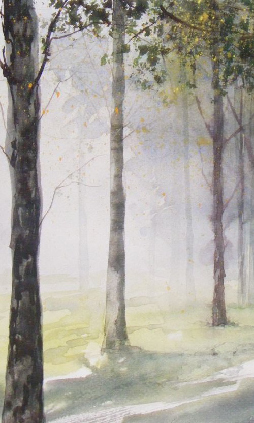 Fog in the forest by Ivan  Grozdanovski