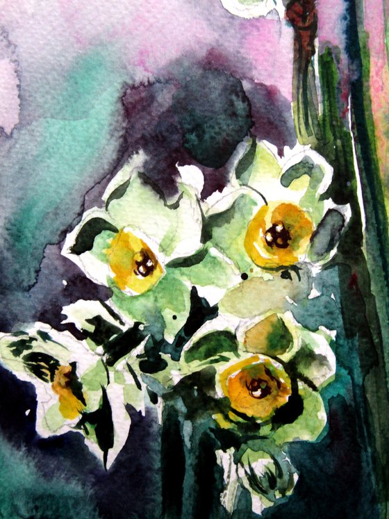 Narcissus florals