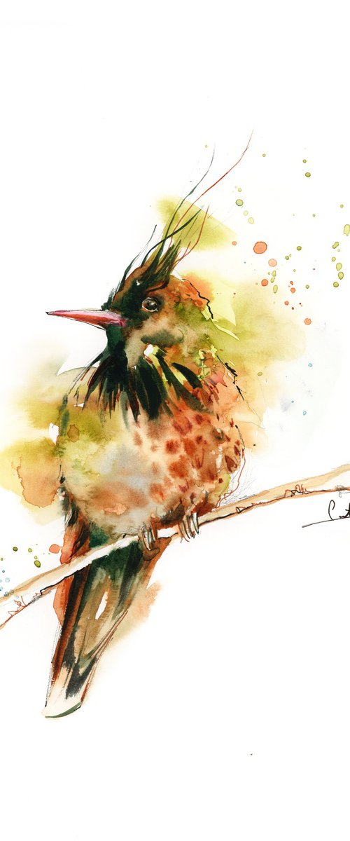 Hummingbird Bird Watercolor Painting by Sophie Rodionov