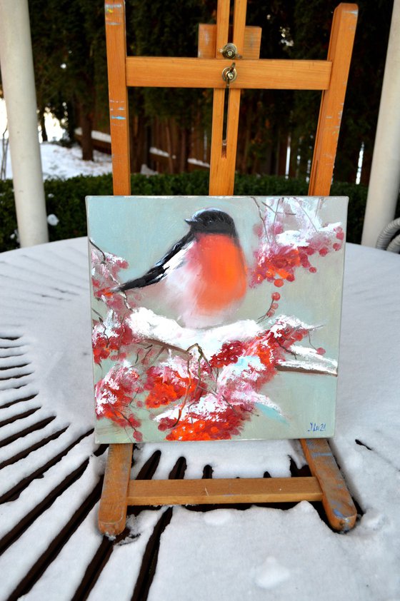 Bullfinch on a snowy rowan branch