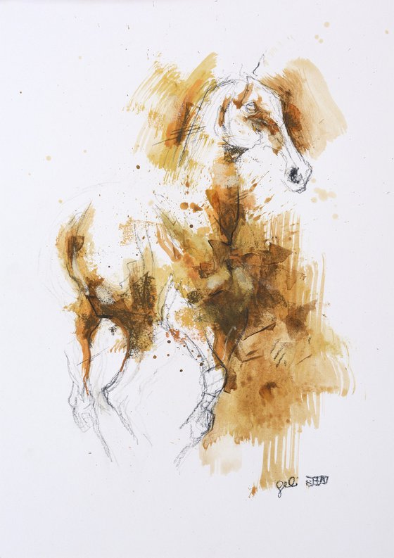 Equine nude 270