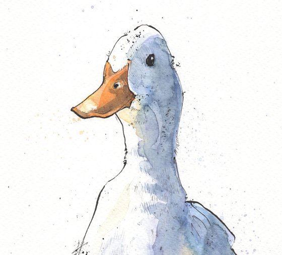 Curious White Duck Drawing Ink And Watercolour Ink Drawing By Luci Power Artfinder