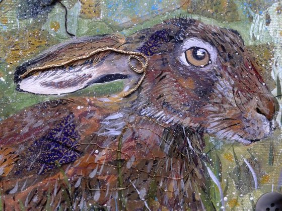 Hare in the meadow