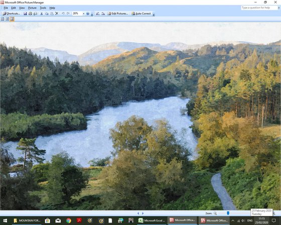 Mountain Forest