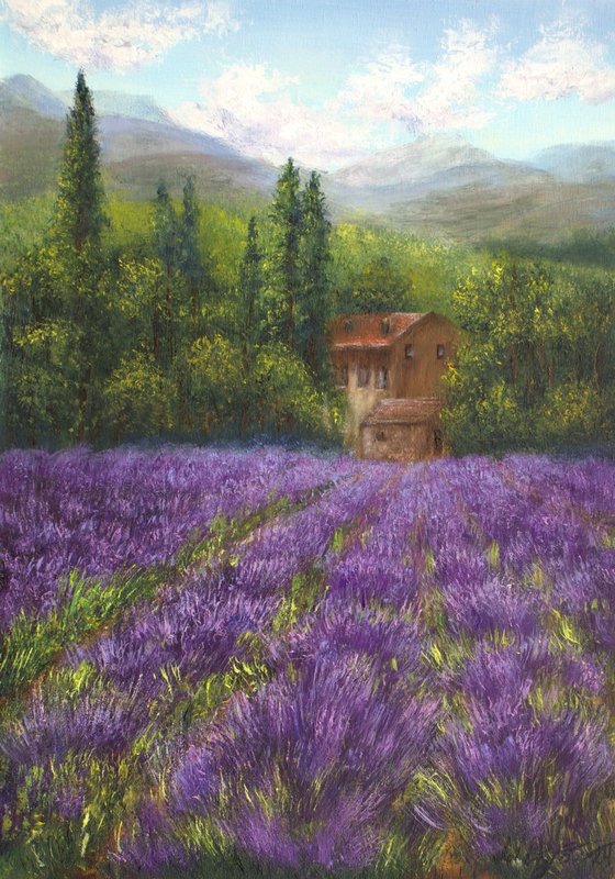 Lavender landscape in Provence