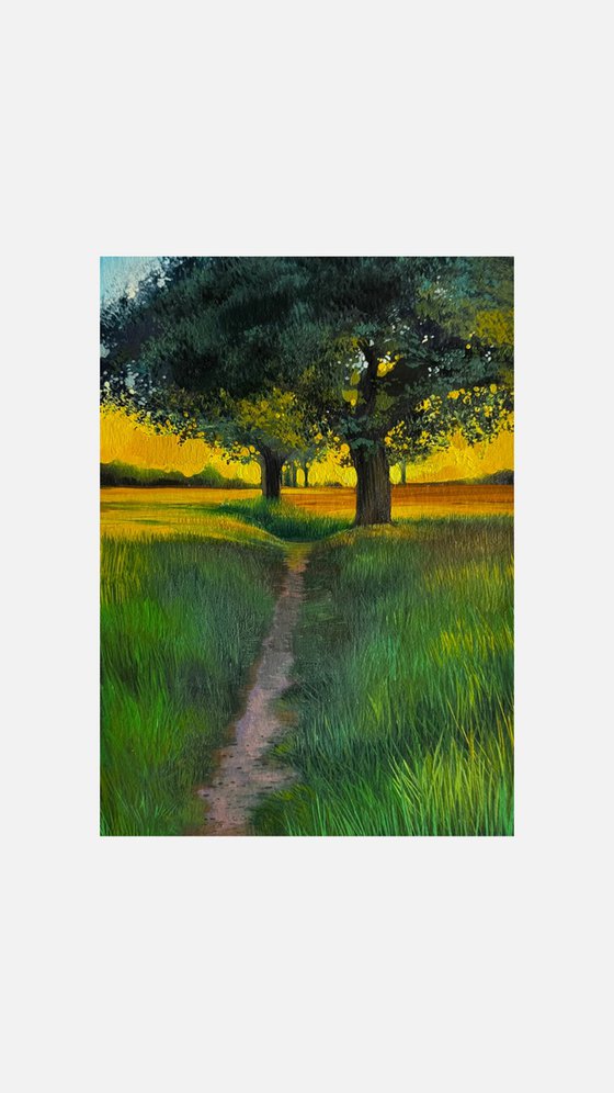 Sunset Landscape