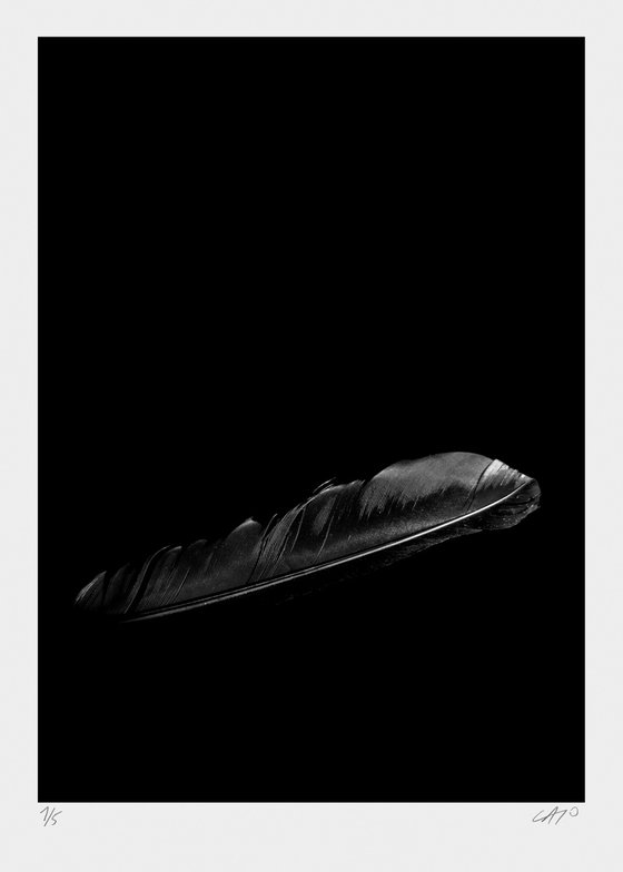 Untitled I
