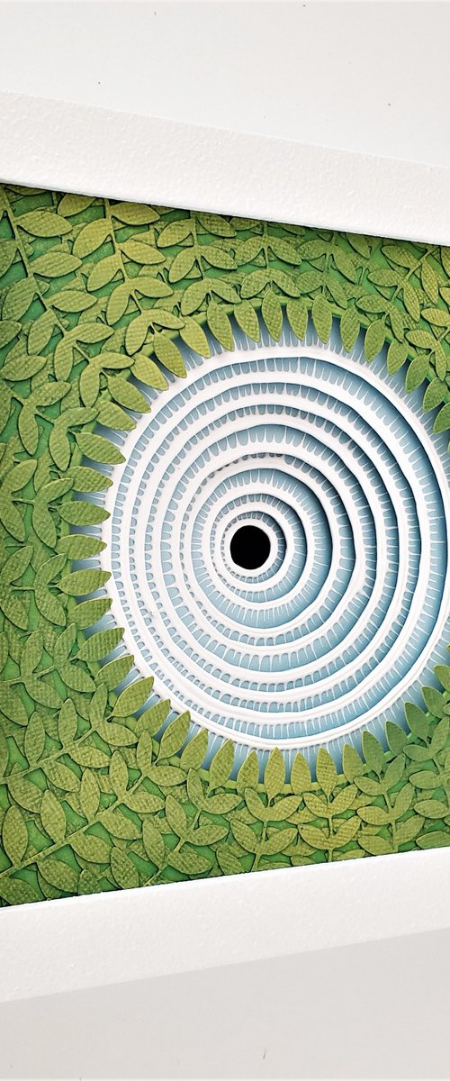 Compass by Daniel A du Preez