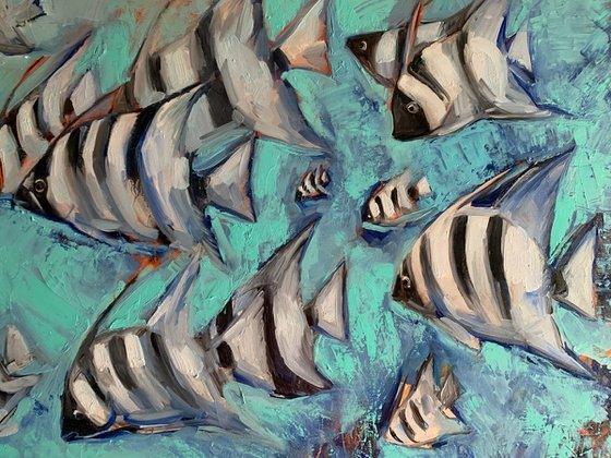 Angels fish