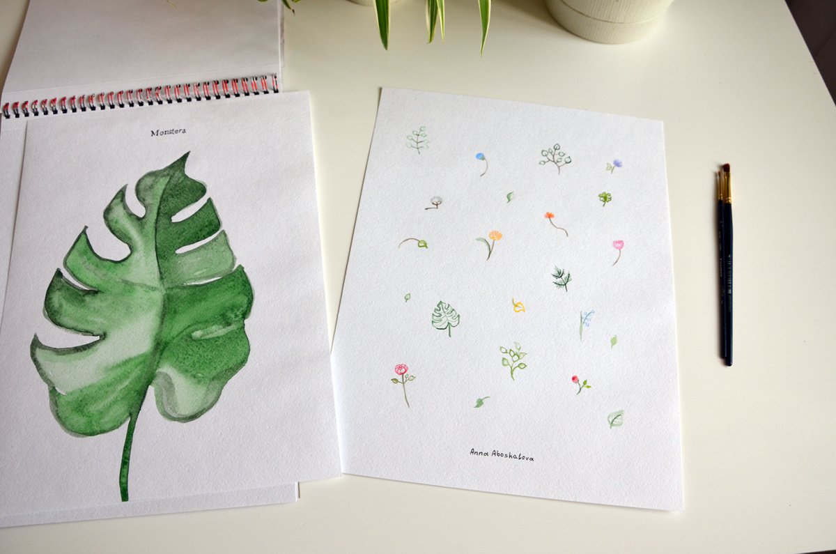 Botanical illustration by Anna Aboskalova