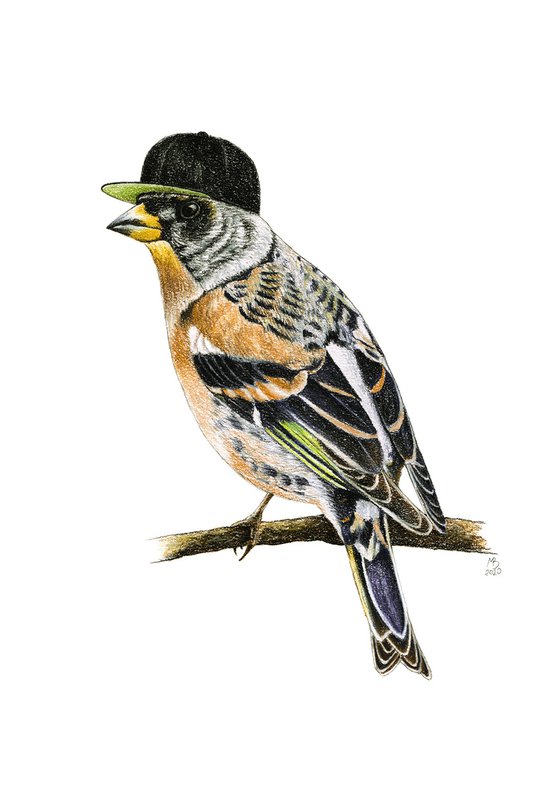 Original pastel drawing "Mr. Brambling"