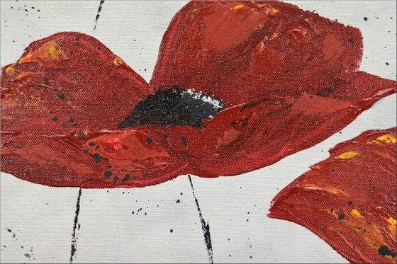 Poppy Love