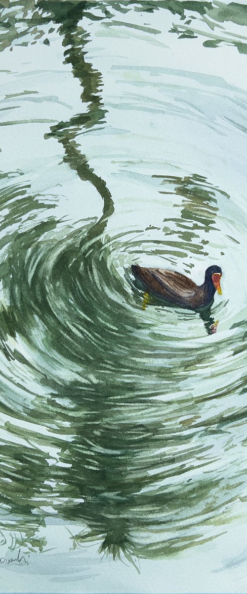 Duck swimming in palm tree reflection by Krystyna Szczepanowski