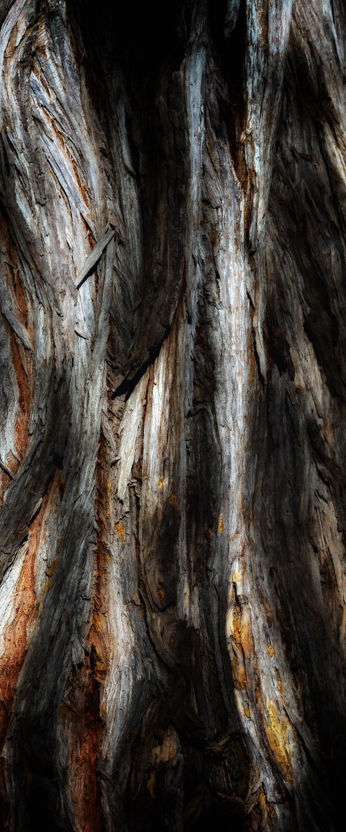 Lifeblood #23 by Karim Carella