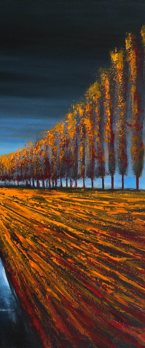 When the storm passes II- Fields and Colors Series by Danijela Dan
