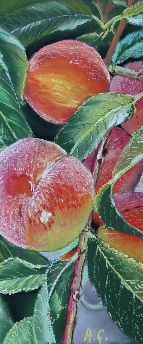 A Peach Tree by Aliaksandra Göğer