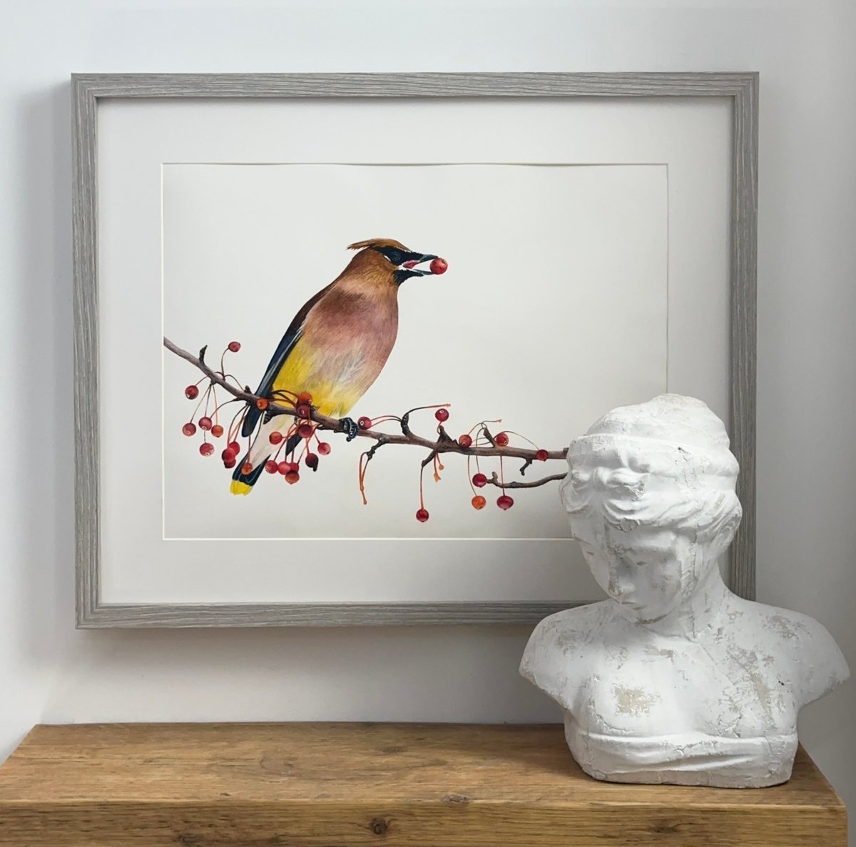 The Bohemian Waxwing by Irsa Ervin