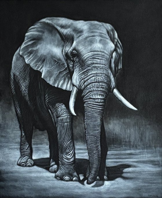 Elephant Night Walker