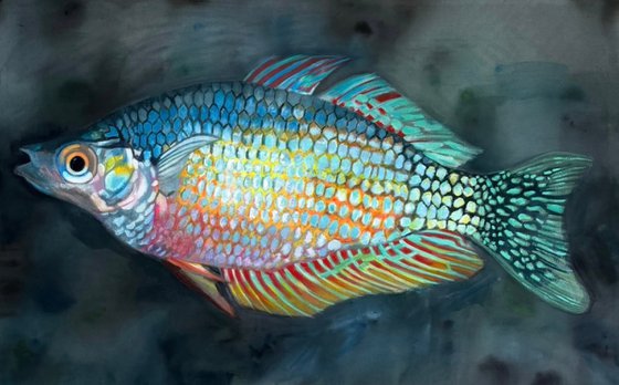 The Rainbow Fish