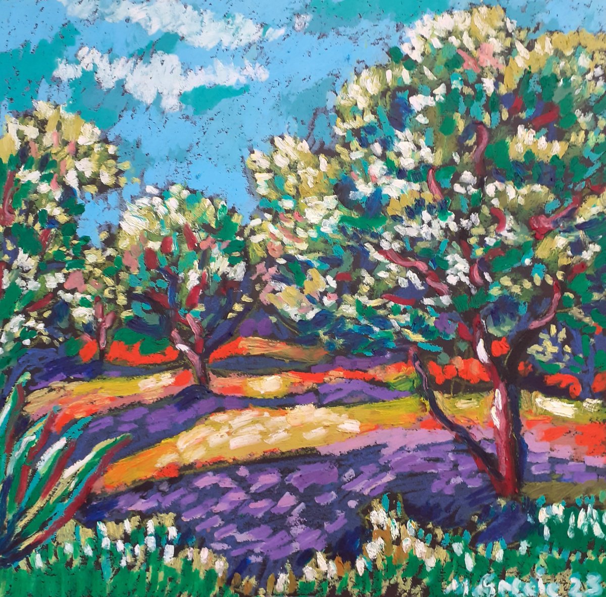 Impressionistic Landscape Pastel Drawing By Maja Grecic, 12 X 12", Olive Grove No 39, Original Artwork