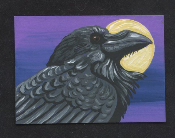 ACEO ATC Original Miniature Painting Crow Raven Bird Wildlife Art-Carla Smale