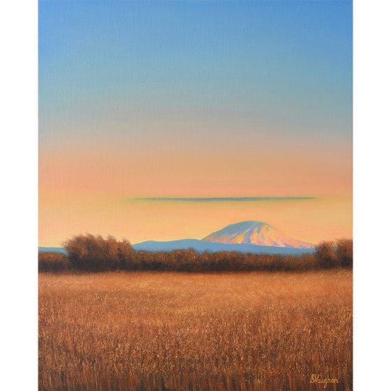 Mountain View - Blue Sky Gold Field Landscape