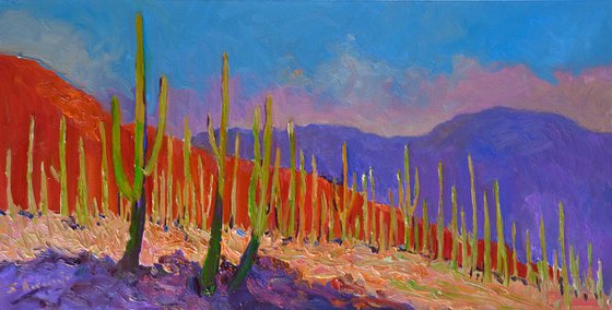 Before the Evening. Saguaros