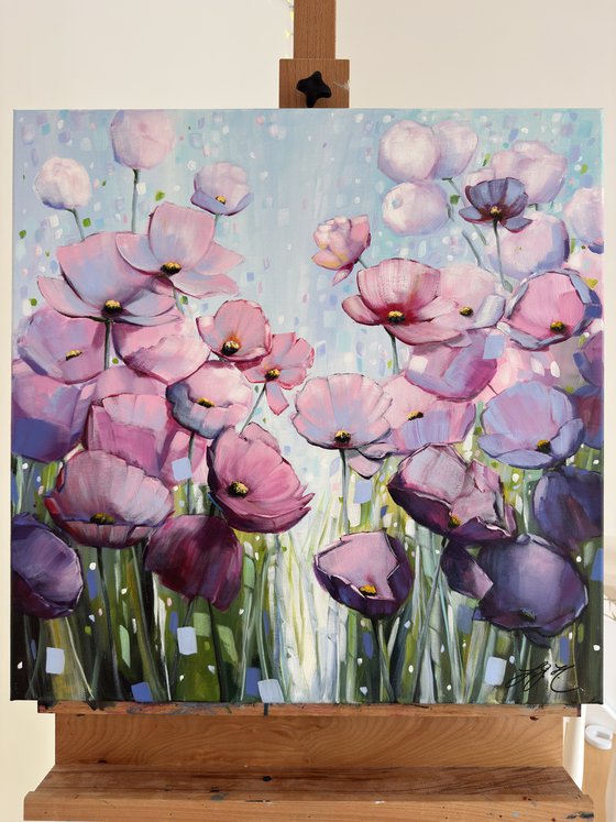 Poppies Land 16
